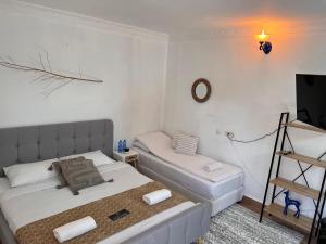 a small bedroom with two beds and a television at Lord of the Dead Sea by CROWN in Neve Zohar