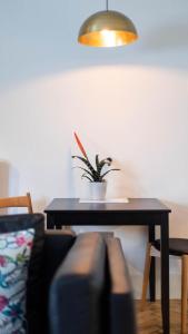 a table with a potted plant on top of it at Linton Collection - 28 North Bridge in Edinburgh