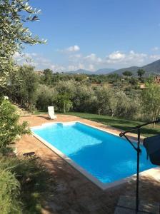 ein großer blauer Pool im Hof in der Unterkunft Villa Panoramica con piscina in Castelnuovo di Farfa