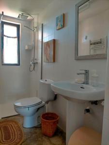 een witte badkamer met een toilet en een wastafel bij El Telar Arte y Naturaleza in Prádena