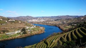 arial view of a river with a town and vineyards at Casa Quinta da Adega do Chão - Vale do Douro in Lamego