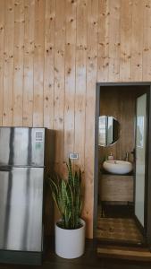 a bathroom with a sink and a potted plant at Bách Xanh House - Cloud Bungalow in Vĩnh Phúc