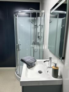 a bathroom with a sink and a shower at Les Chambres de Campagne in Campagne +24 photos