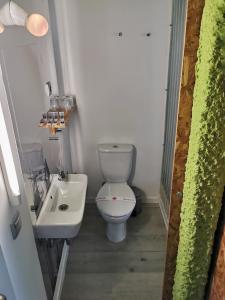 a small bathroom with a toilet and a sink at La Posada de El Chaflán in Madrid