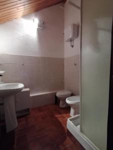 y baño con aseo, lavabo y ducha. en Elle house Mansarda, en Rocca di Cambio