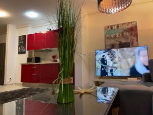 a living room with a vase with grass on a table at Apartment Happiness by Nicole Jutka, visual artist Olimp in Olimp