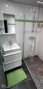 La salle de bains est pourvue d'un lavabo et d'une douche. dans l'établissement CŒUR MENOU, Radis'son & PARKING, à Nantes