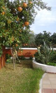 Φωτογραφία από το άλμπουμ του Astra Village & Suites στη Χερσόνησο