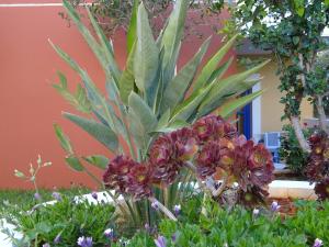 Φωτογραφία από το άλμπουμ του Astra Village & Suites στη Χερσόνησο