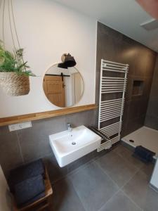 bagno con lavandino bianco e specchio di Rösslerhof Ferienwohnung Nachtweide 