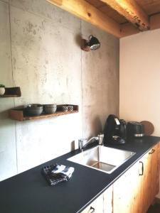 een keuken met een wastafel en een aanrecht bij Rösslerhof Ferienwohnung Lindele 