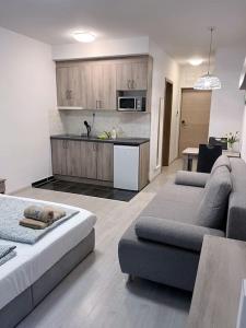 Kuchyňa alebo kuchynka v ubytovaní Corvin cozy Apartment with balcony309