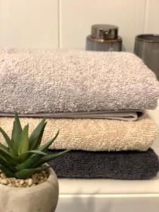 a stack of towels and a potted plant on a counter at Drive Point (Adventure Lake Resort) in Asparukhovo