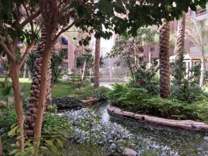 カイロにあるcompound city towers elwahaの小川とヤシの木がある庭園