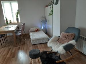 a living room with a chair and a table at Agroturystyka Siedlisko 