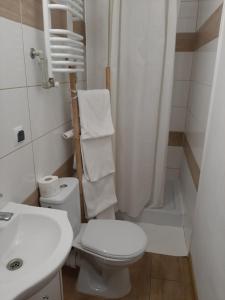 y baño con aseo, lavabo y ducha. en Agroturystyka Siedlisko, 
