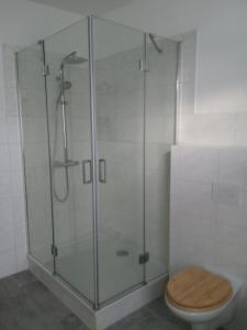 a bathroom with a glass shower with a toilet at Gartenlaube in Thale