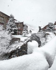 冬天的Cabaña de madera Valle de Incles Orenetes