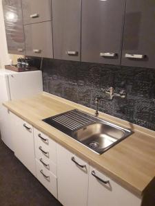 a kitchen counter with a sink and a refrigerator at Penzion Romance in Vyšší Brod