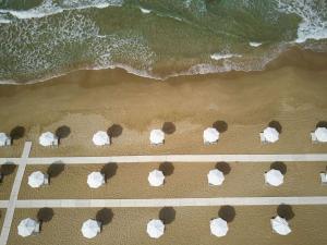 a group of animals standing on the beach at Ella Elyra - Adults Only in Pelekas