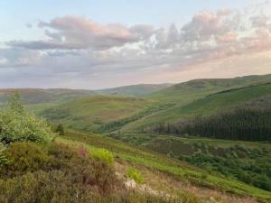 a view of a green hillside with trees and mountains at Lovely little house in Yarrowford - Yarrow Valley in Broadmeadows +7 photos