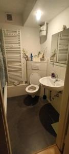 a bathroom with a toilet and a sink at 7 Betten Apartment Messewohnung Monteurwohnung im Stadtzentrum in Hannover