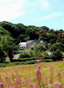 a field of flowers in front of a house at Trefloyne Manor in Tenby