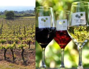 two glasses of red and white wine next to a vineyard at PLAISIR DES SENS in Roanne