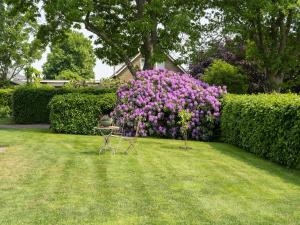 un arbusto con flores púrpuras en un patio en Holiday home with wide views and garden en Balkbrug