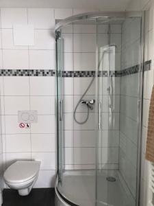 y baño con ducha y aseo. en Apartmentvermietung Ingrid Bolkart - Vöhlino 2, en Illertissen