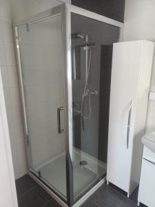 um chuveiro com uma porta de vidro na casa de banho em Kolorowe Domki em Laliki