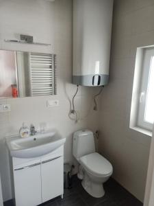 uma casa de banho com um WC branco e um lavatório. em Kolorowe Domki em Laliki