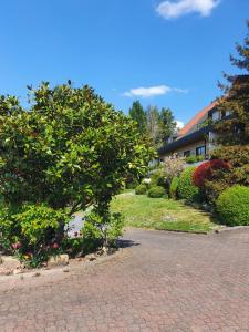 Zahrada ubytování Käfernberg - Weinhotel