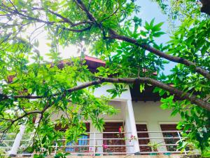 a tree branch in front of a building at Rich Resort & Restaurant in Anuradhapura
