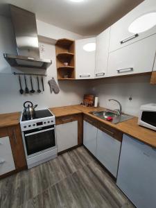 Apartmány Nová duha Vavřinec 주방 또는 간이 주방
