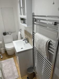 セント・レオナルズにあるGorgeous 2 floor 3 bed Apartmentの洗面台とトイレを備えた白いバスルーム