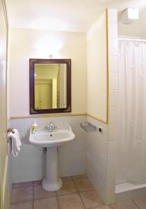 uma casa de banho com um lavatório, um espelho e um chuveiro em Appartamento Geranio em San Miniato
