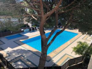 a swimming pool with a tree in front of it at Le zéphyr in Gruissan