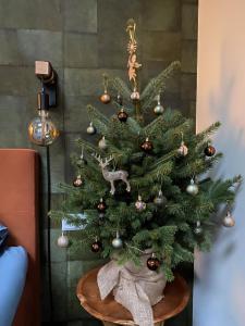 Fotografie z fotogalerie ubytování ForRest Suites v destinaci Ermelo