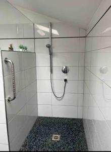 a bathroom with a shower with a glass door at Penthouse perfekt für Teams, Familien und Gruppen in Bad Mergentheim