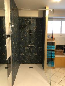 W łazience znajduje się prysznic ze szklanymi drzwiami. w obiekcie Chez Ghislaine et Robert 