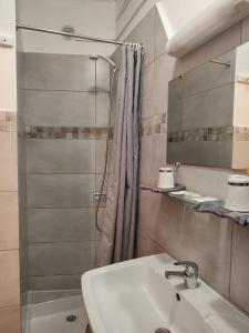 y baño con lavabo y ducha. en Hotel Régina, en Salon-de-Provence