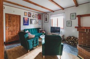 a living room with a green couch and a tv at Jarzębinowa - Dom do wynajęcia na Podlasiu in Łuka