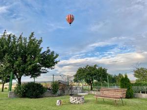 Zahrada ubytování Apartment Sakvice 390