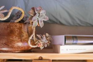 a book and a plant in a vase on a table at Eco lodge Carbonaccio in Chiatra