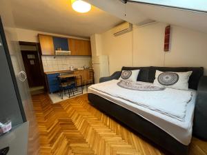 Il comprend une petite chambre avec un lit et une cuisine. dans l'établissement Studio in the centre of Novi Sad, à Novi Sad
