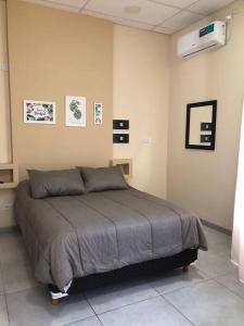 1 dormitorio con 1 cama en una habitación en Casa moderna y amplia con patio y cochera techada en San Nicolás de los Arroyos