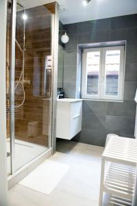 a bathroom with a shower with a glass door at La Pomme Du Président II in Sélestat