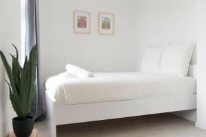 un letto bianco in una stanza bianca con una pianta di La Pomme Du Président II a Sélestat