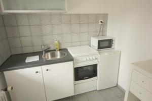 uma pequena cozinha com um lavatório e um micro-ondas em Swiss Star Basel Schweizergasse - Self Check-In em Basileia